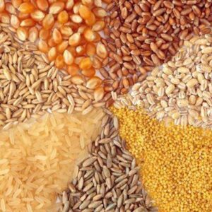 خوراک دام و طیور